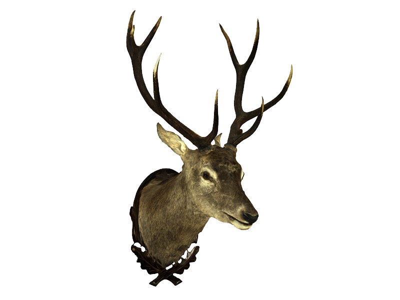 vr ar virtual reality 3d